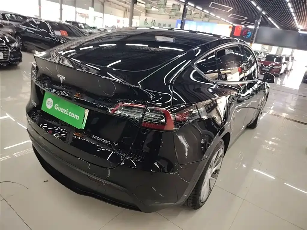 Tesla Model Y — фото 10