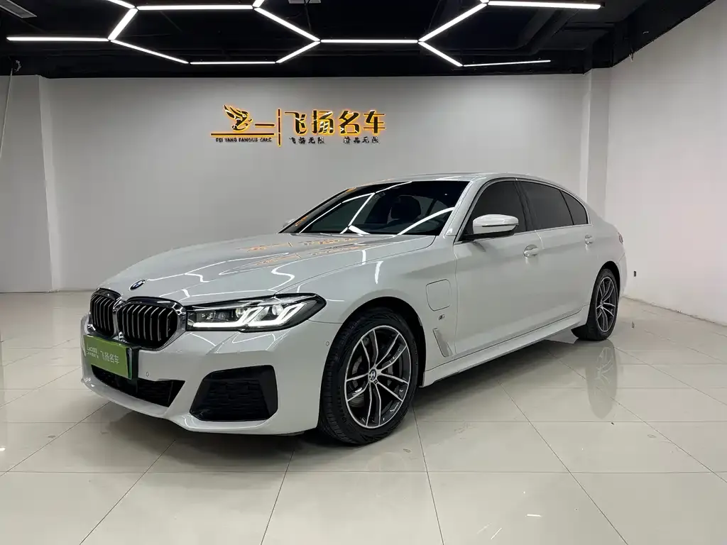 BMW 5 Series New Energy