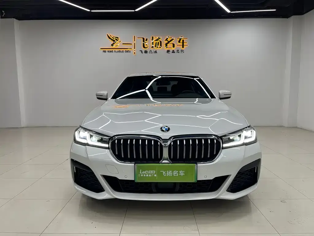 BMW 5 Series New Energy 2021 из CN, фото 2
