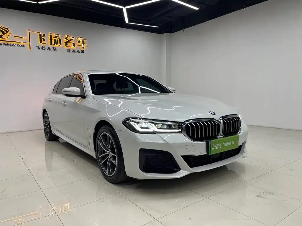 BMW 5 Series New Energy 2021 из CN, фото 6