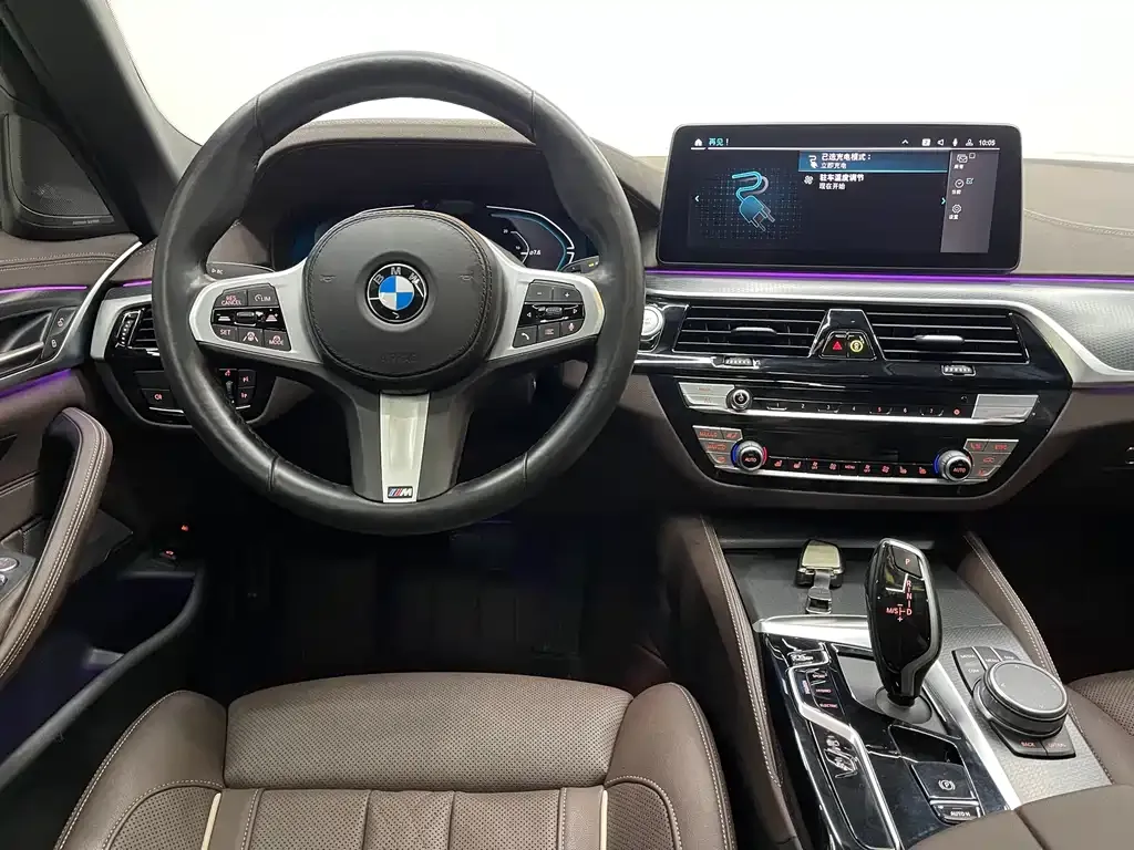 BMW 5 Series New Energy 2021 из CN, фото 7