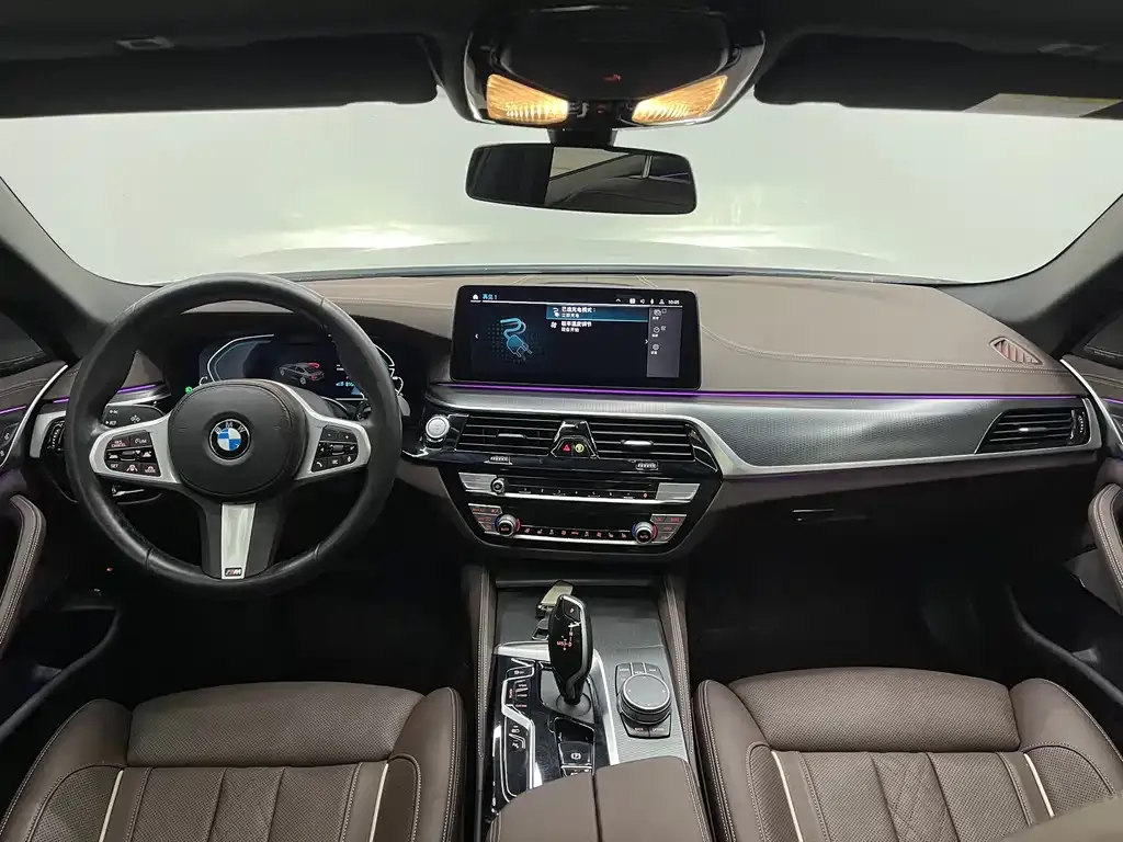 BMW 5 Series New Energy 2021 из CN, фото 9