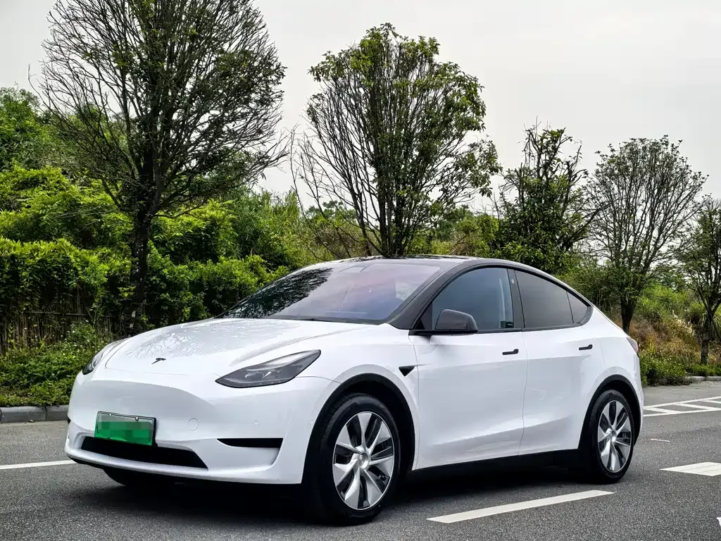 Tesla Model Y — фото 1