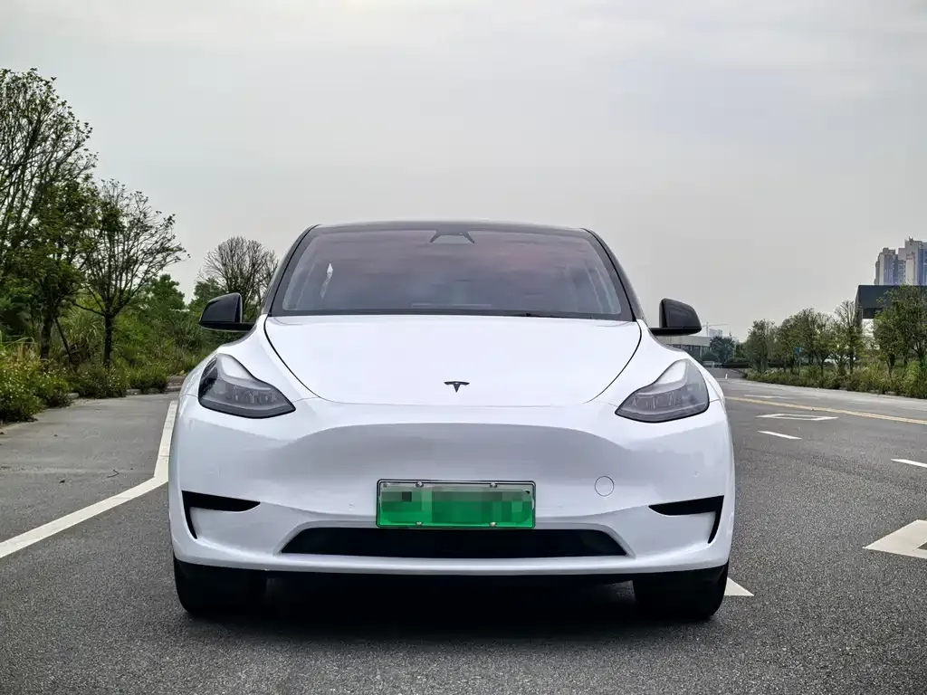 Tesla Model Y — фото 6