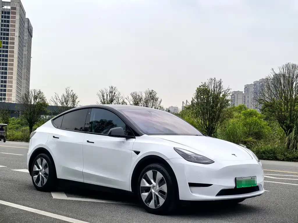 Tesla Model Y — фото 3