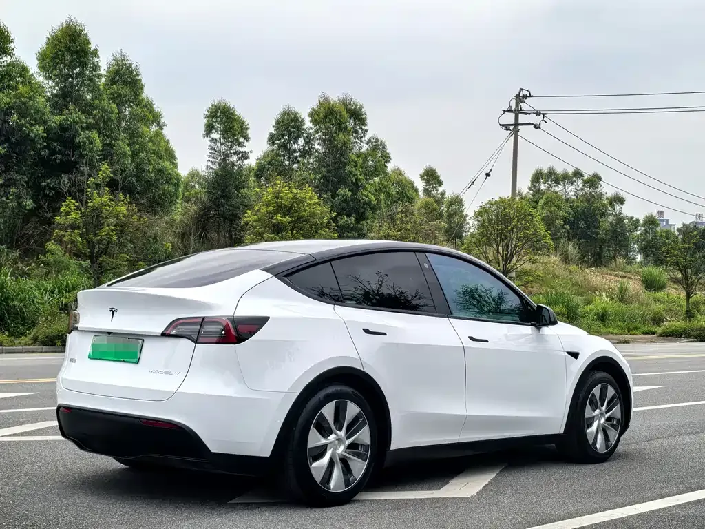 Tesla Model Y — фото 4