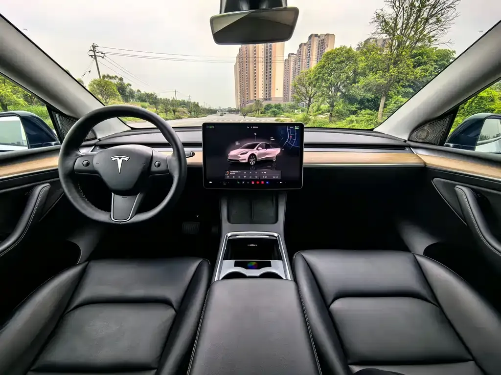 Tesla Model Y — фото 2