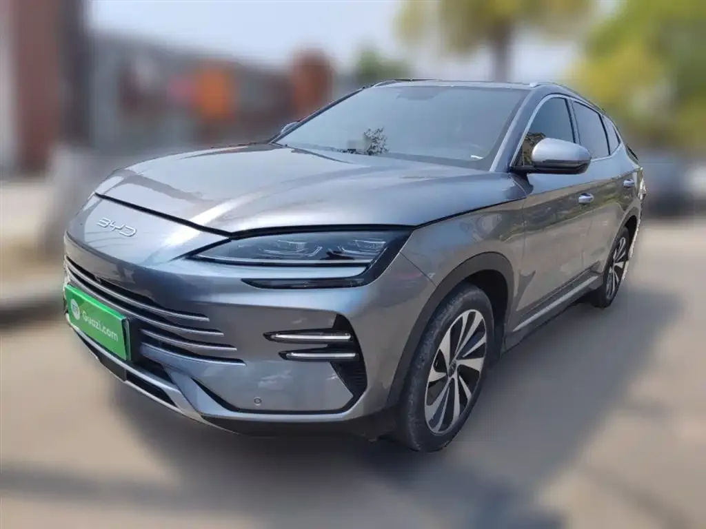BYD PLUS New Energy — фото 4