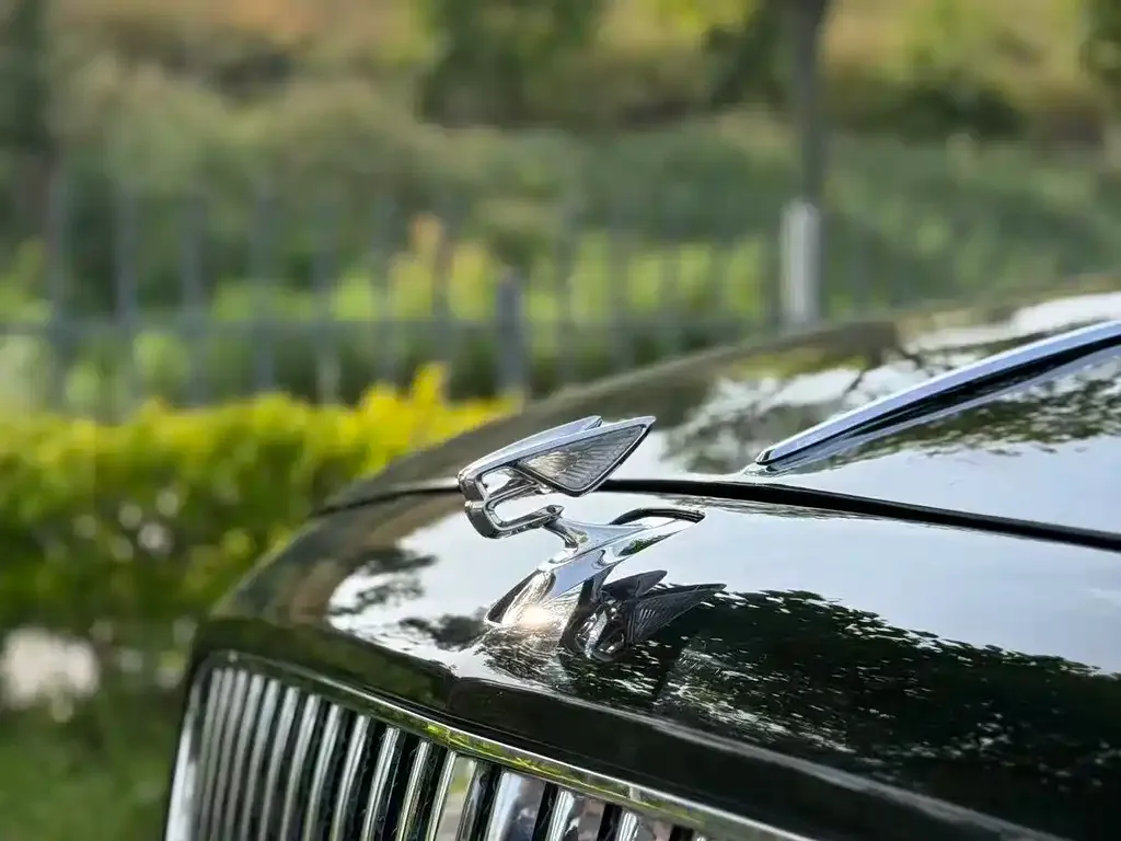 Bentley Flying Spur 2021 из CN, фото 3