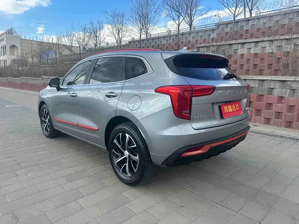 Haval Chulian 2021 из CN, фото 6