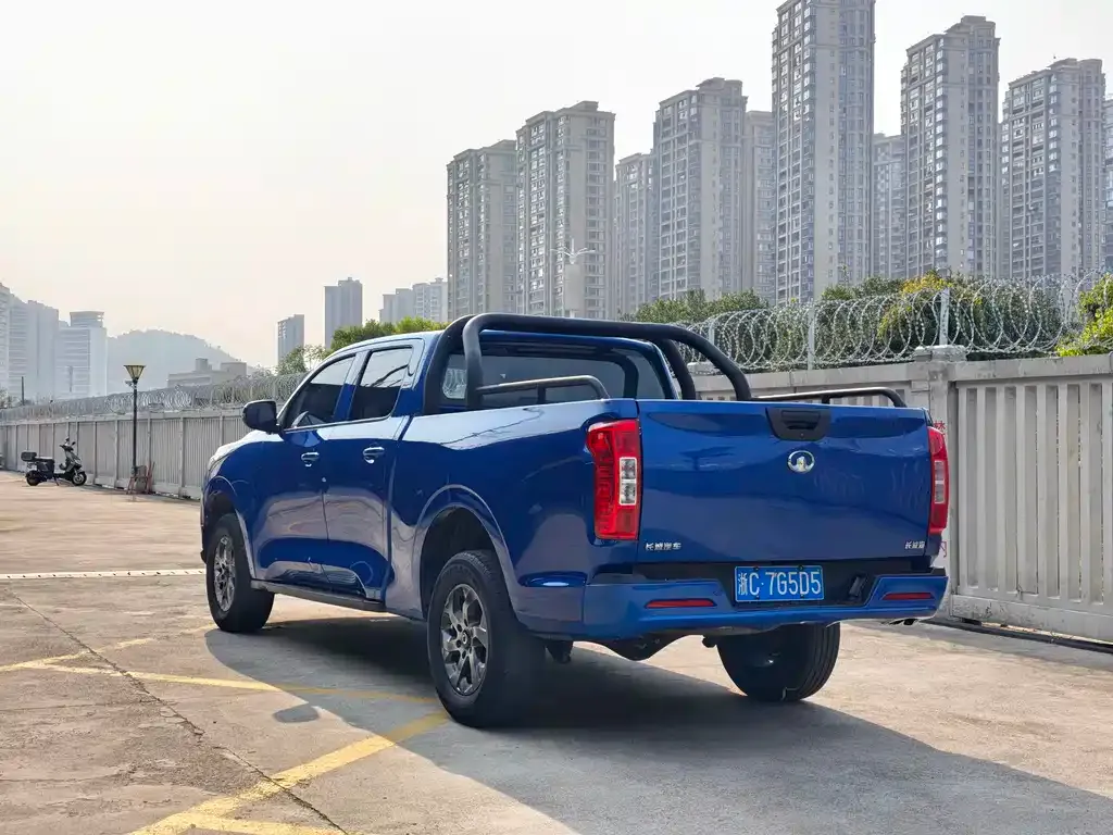 Great Wall Pao 2023 из CN, фото 4