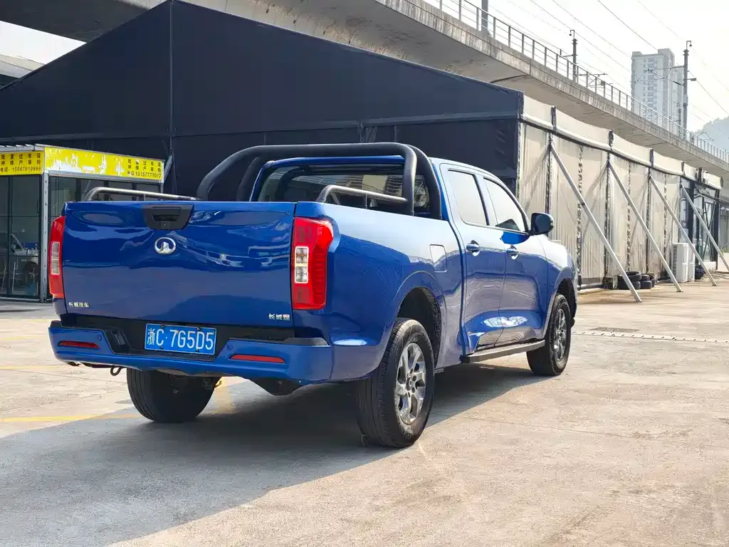 Great Wall Pao 2023 из CN, фото 10