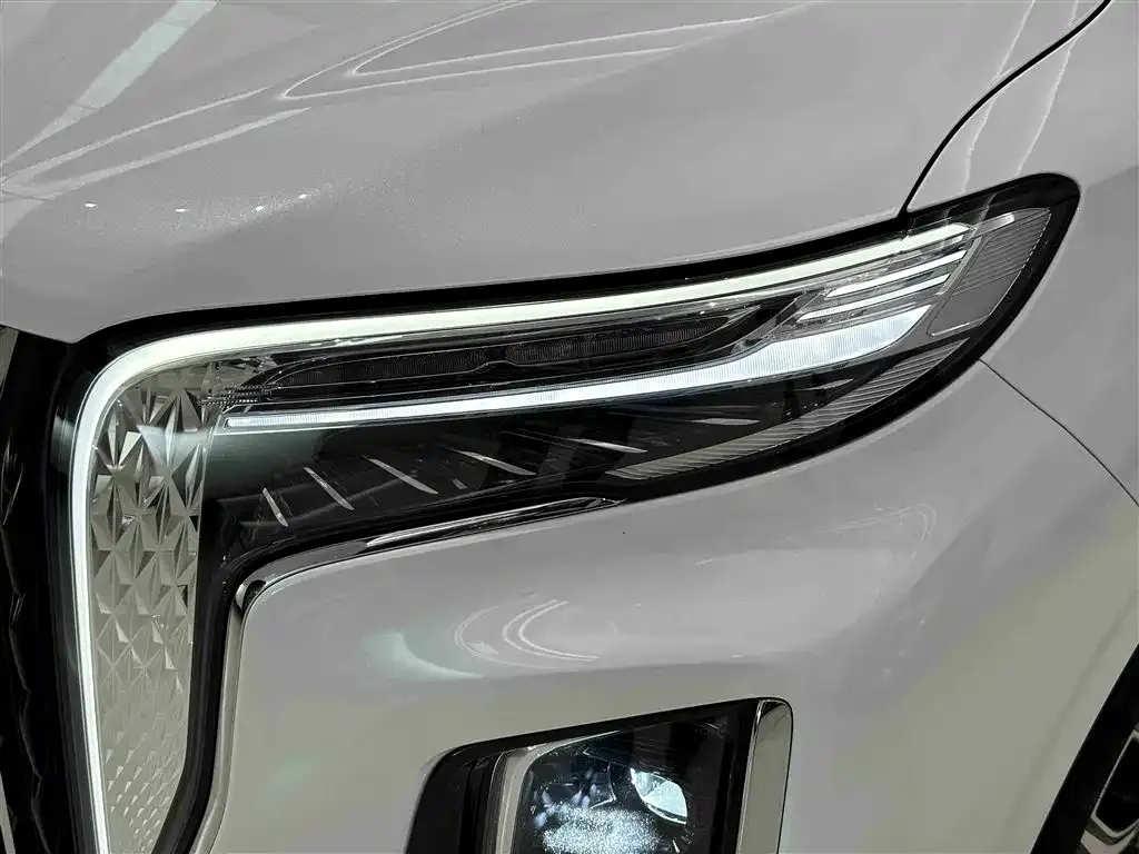 Hongqi HQ9 2023 из CN, фото 5