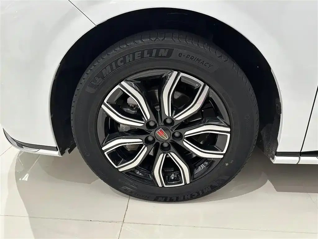 Hongqi HQ9 2023 из CN, фото 8