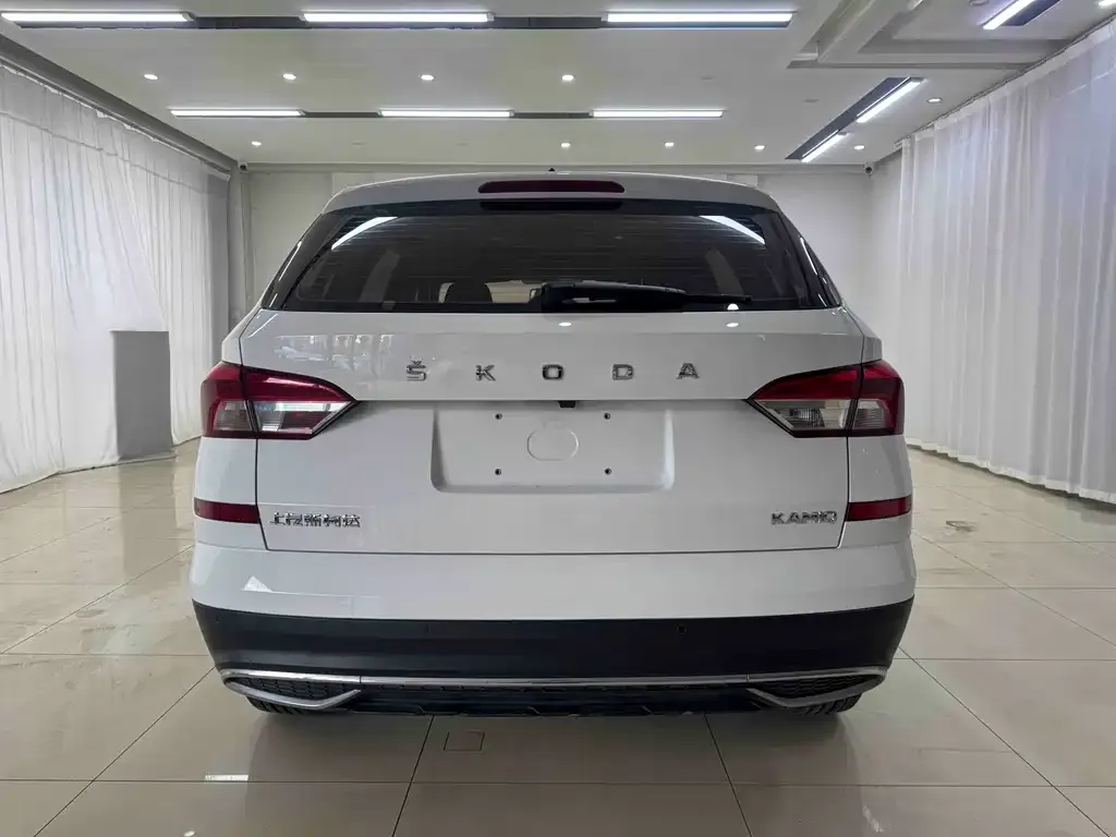 Skoda Kamiq 2022 из CN, фото 3