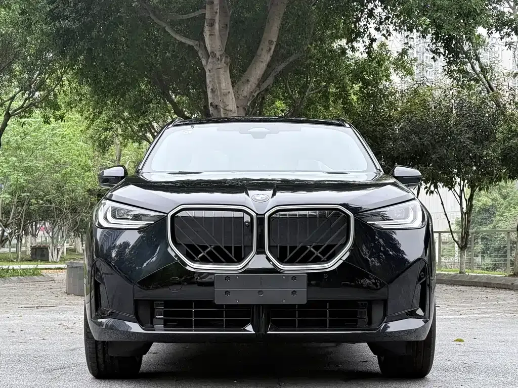 BMW X3 — фото 9