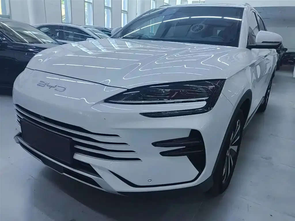 BYD PLUS New Energy — фото 1