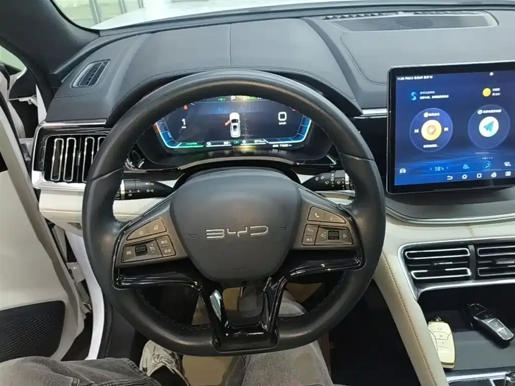 BYD PLUS New Energy — фото 10