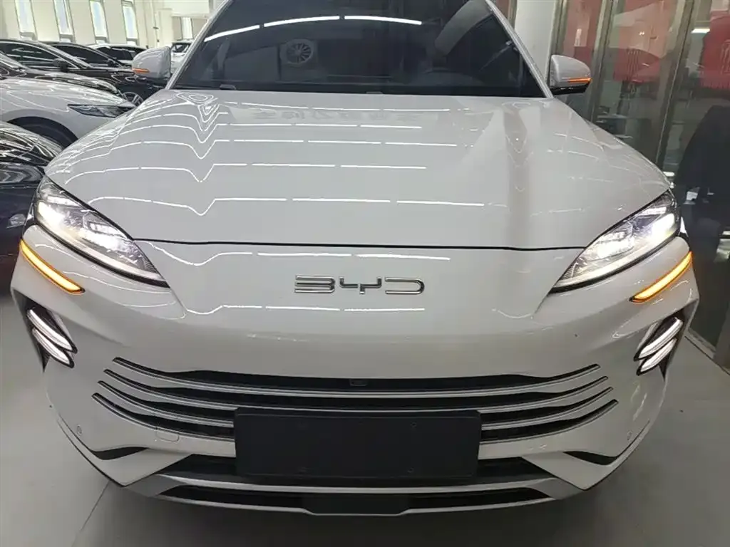 BYD PLUS New Energy — фото 5