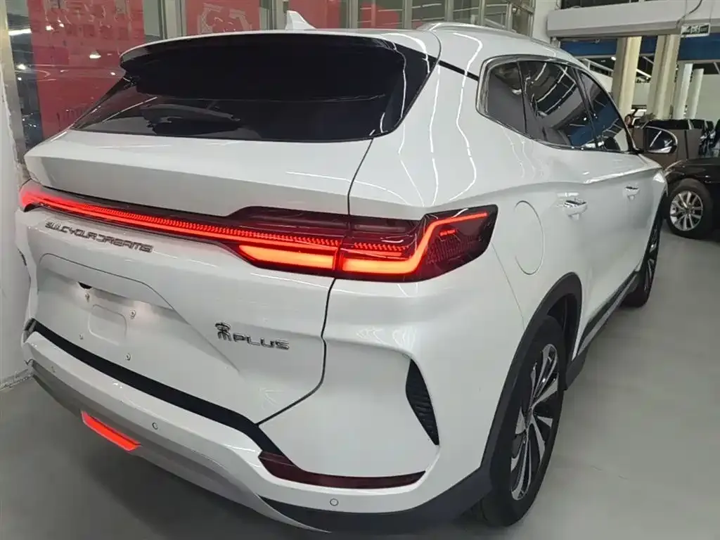 BYD PLUS New Energy — фото 8