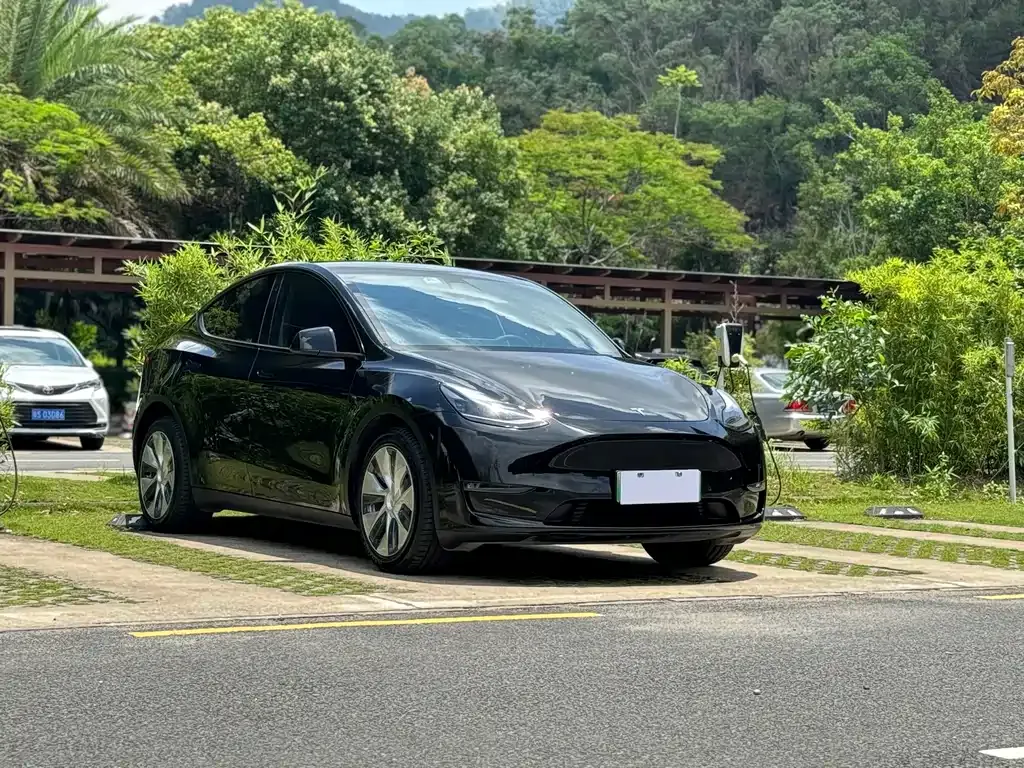 Tesla Model Y — фото 9