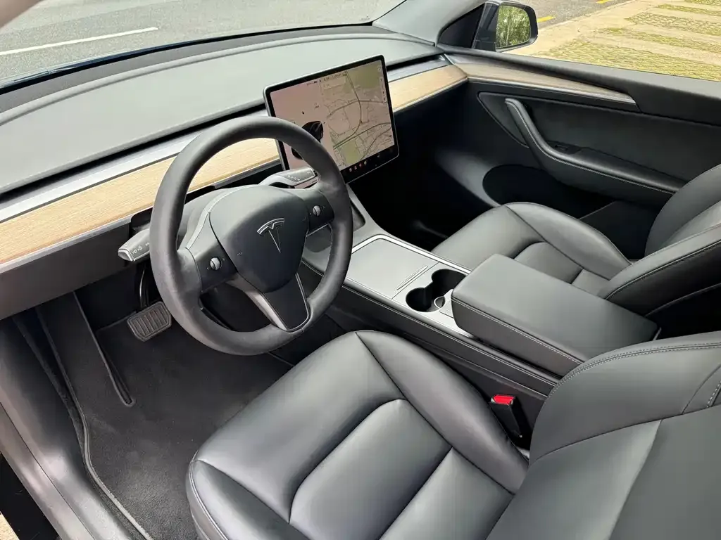 Tesla Model Y — фото 8