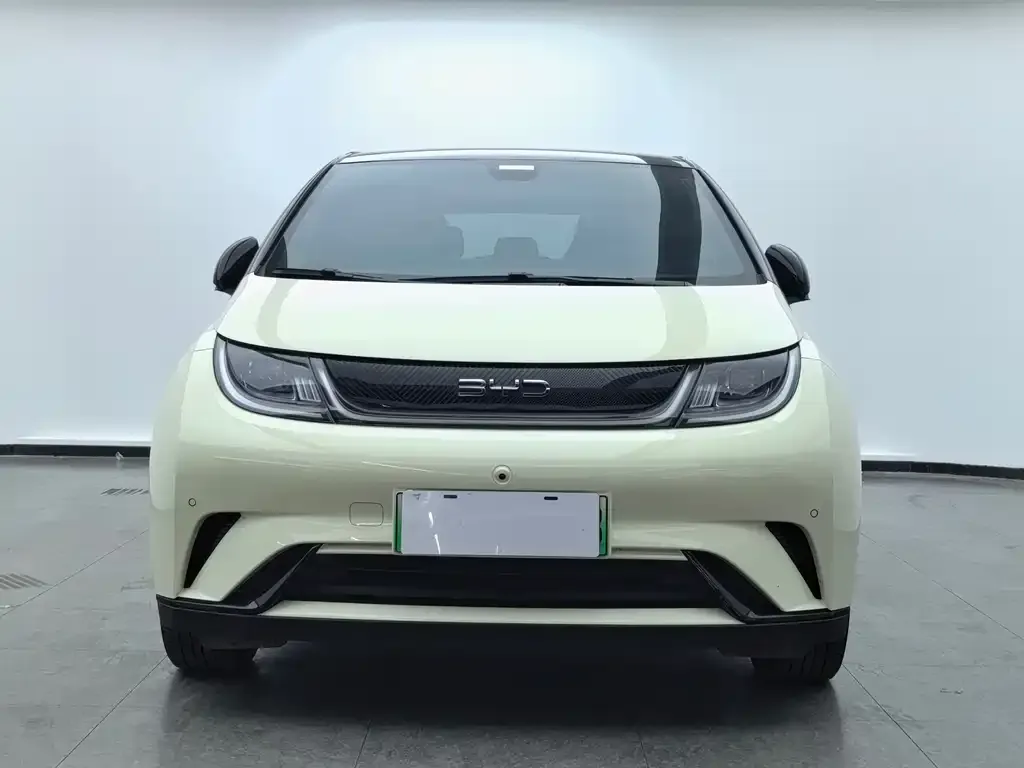 BYD Dolphin 2024 из CN, фото 9