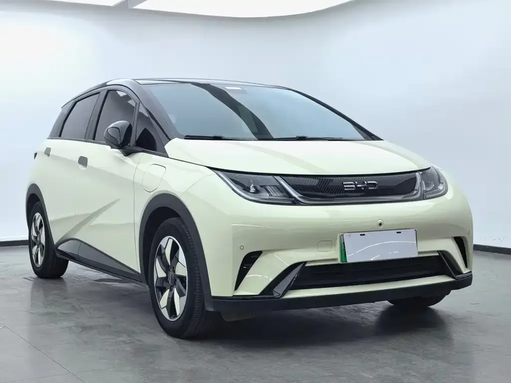 BYD Dolphin 2024 из CN, фото 2