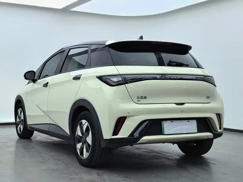 BYD Dolphin 2024 из CN, фото 6