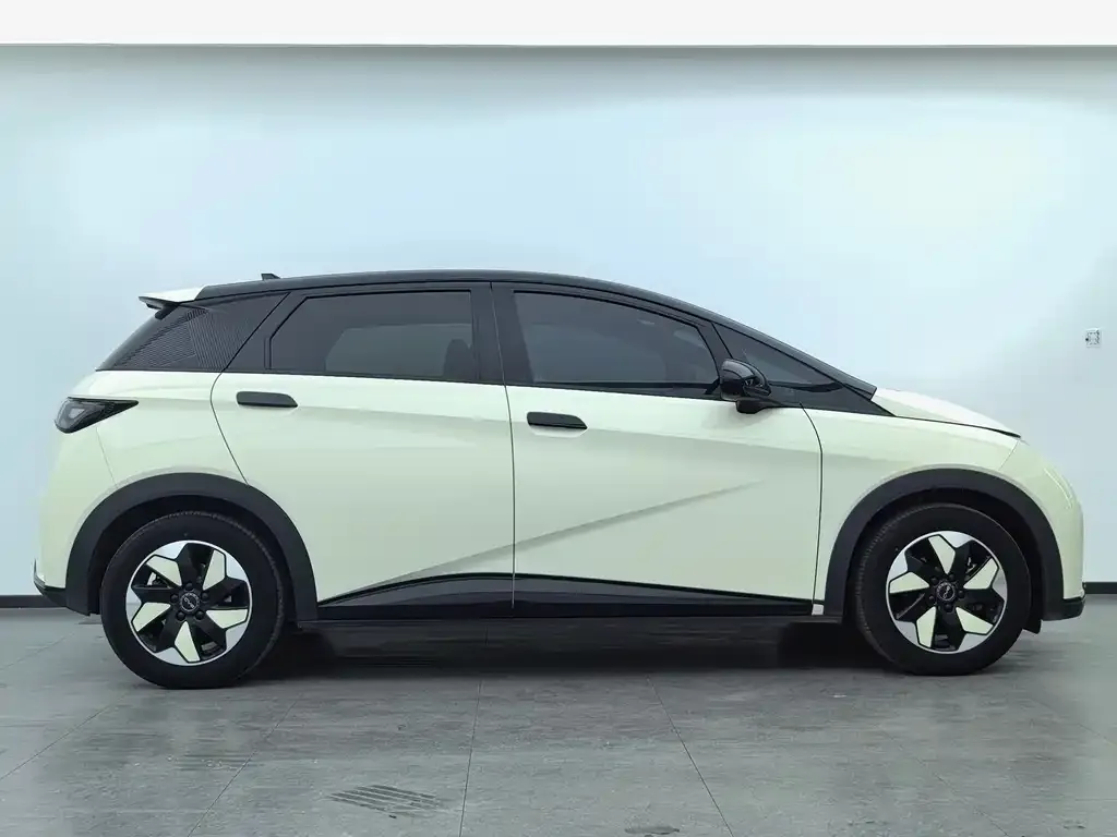 BYD Dolphin 2024 из CN, фото 8