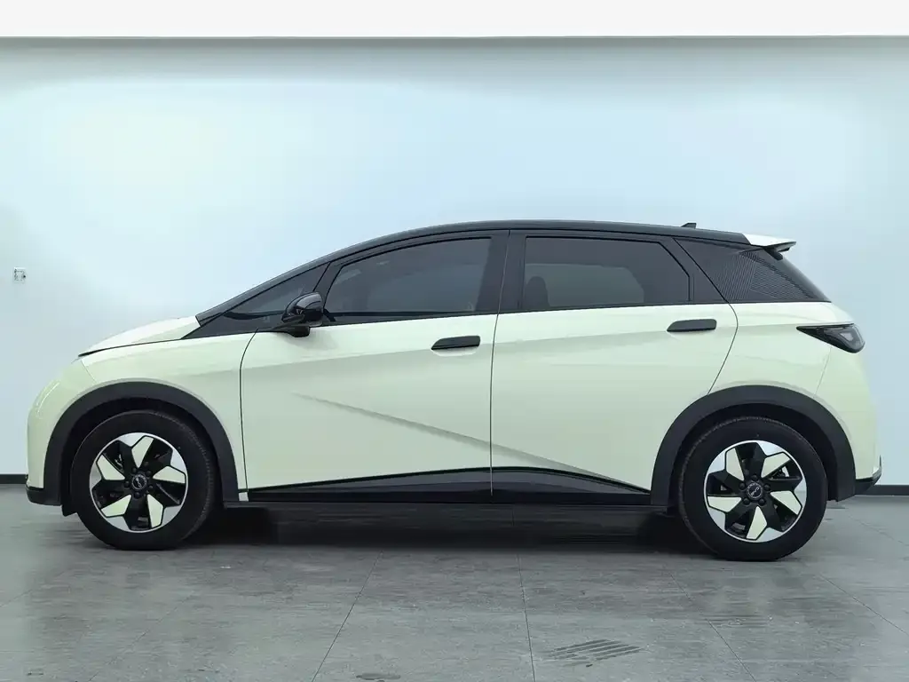 BYD Dolphin 2024 из CN, фото 4