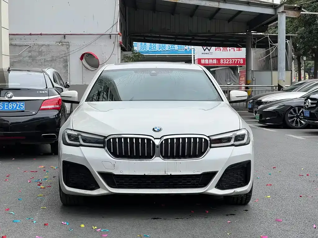 BMW 5 Series New Energy 2021 из CN, фото 9