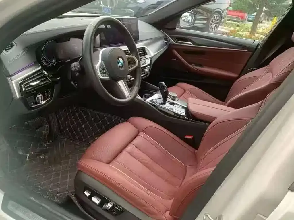 BMW 5 Series New Energy 2021 из CN, фото 5