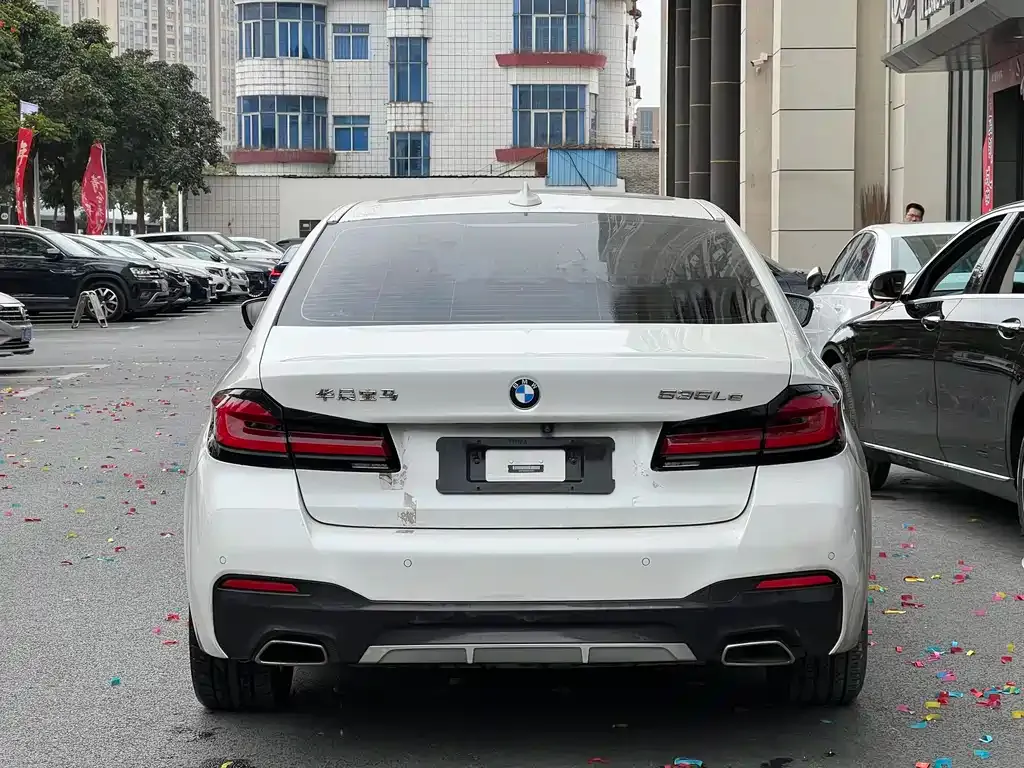BMW 5 Series New Energy 2021 из CN, фото 7