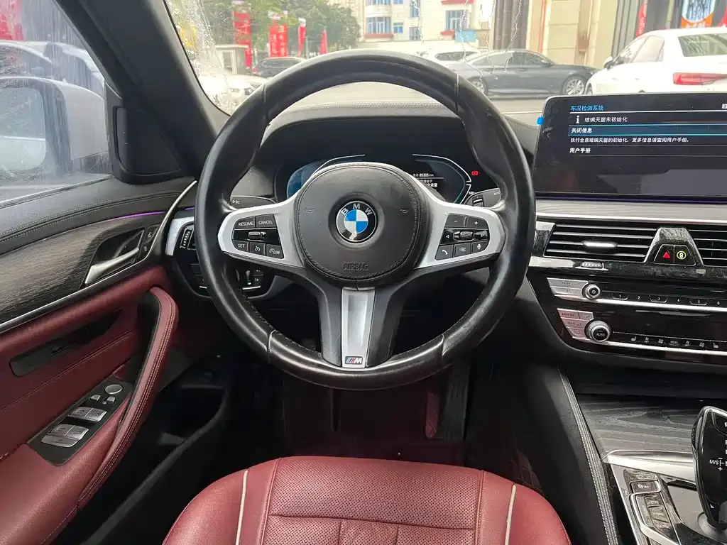 BMW 5 Series New Energy 2021 из CN, фото 6