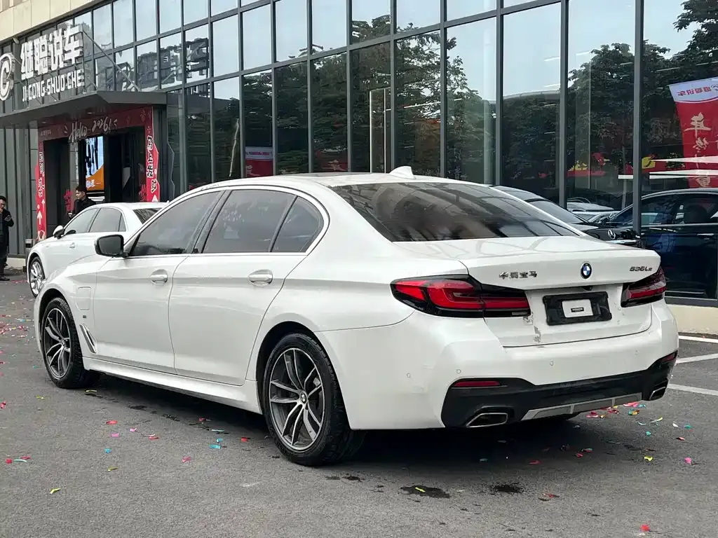 BMW 5 Series New Energy 2021 из CN, фото 4