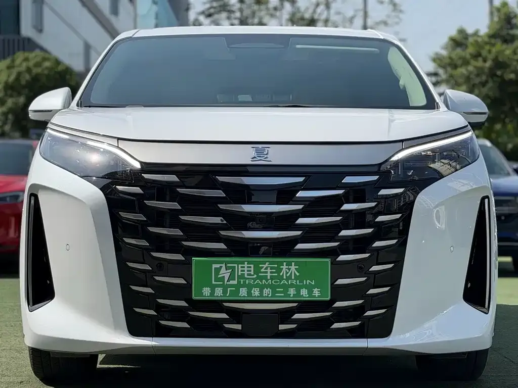 BYD Xia 2025 из CN, фото 8