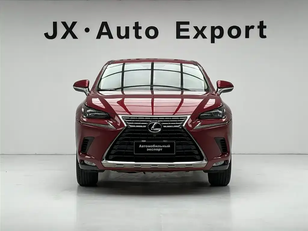 Lexus NX 2021 из CN, фото 5