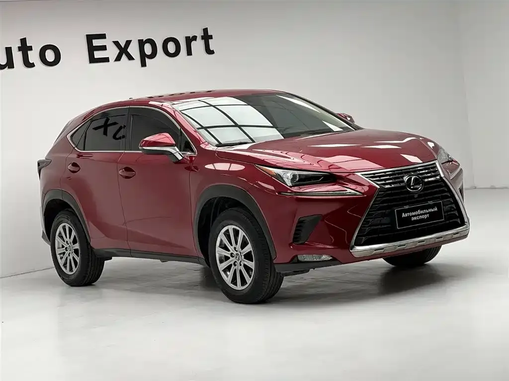 Lexus NX 2021 из CN, фото 9