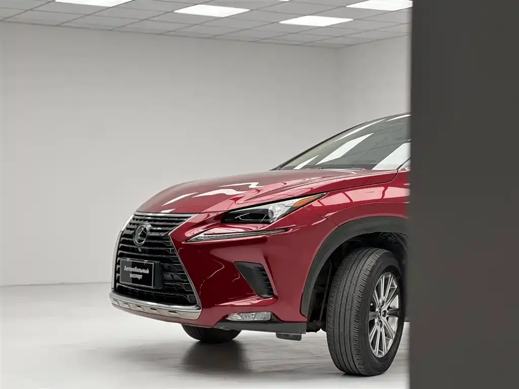 Lexus NX 2021 из CN, фото 6