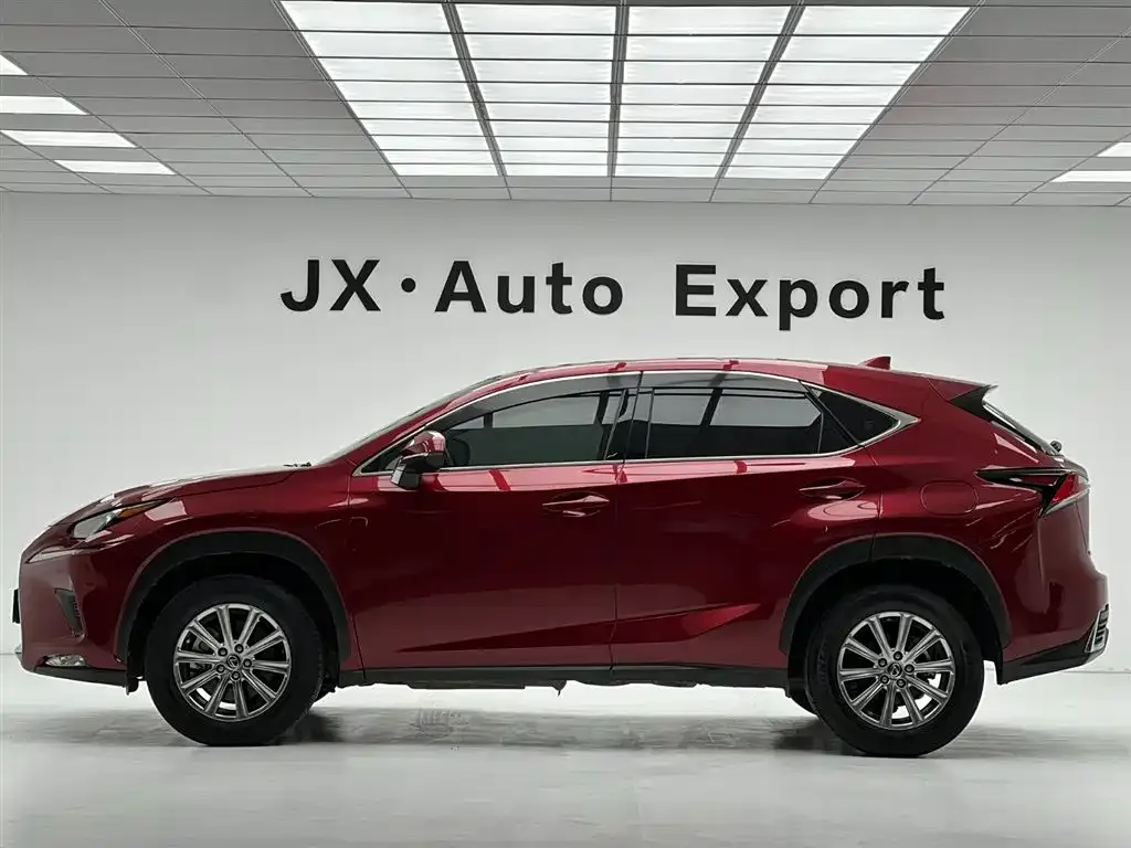 Lexus NX 2021 из CN, фото 4