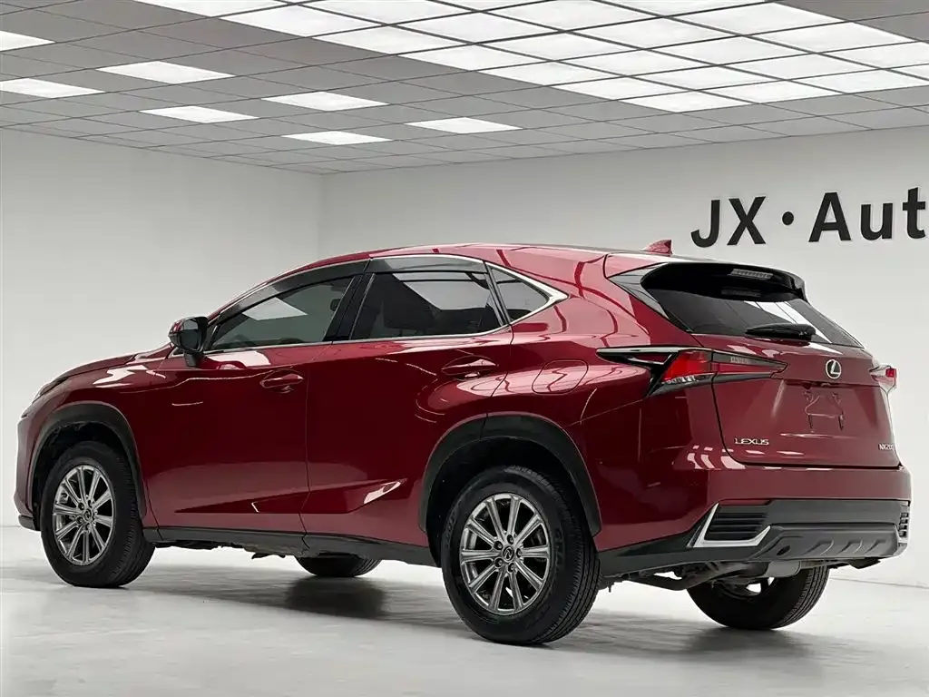 Lexus NX 2021 из CN, фото 8