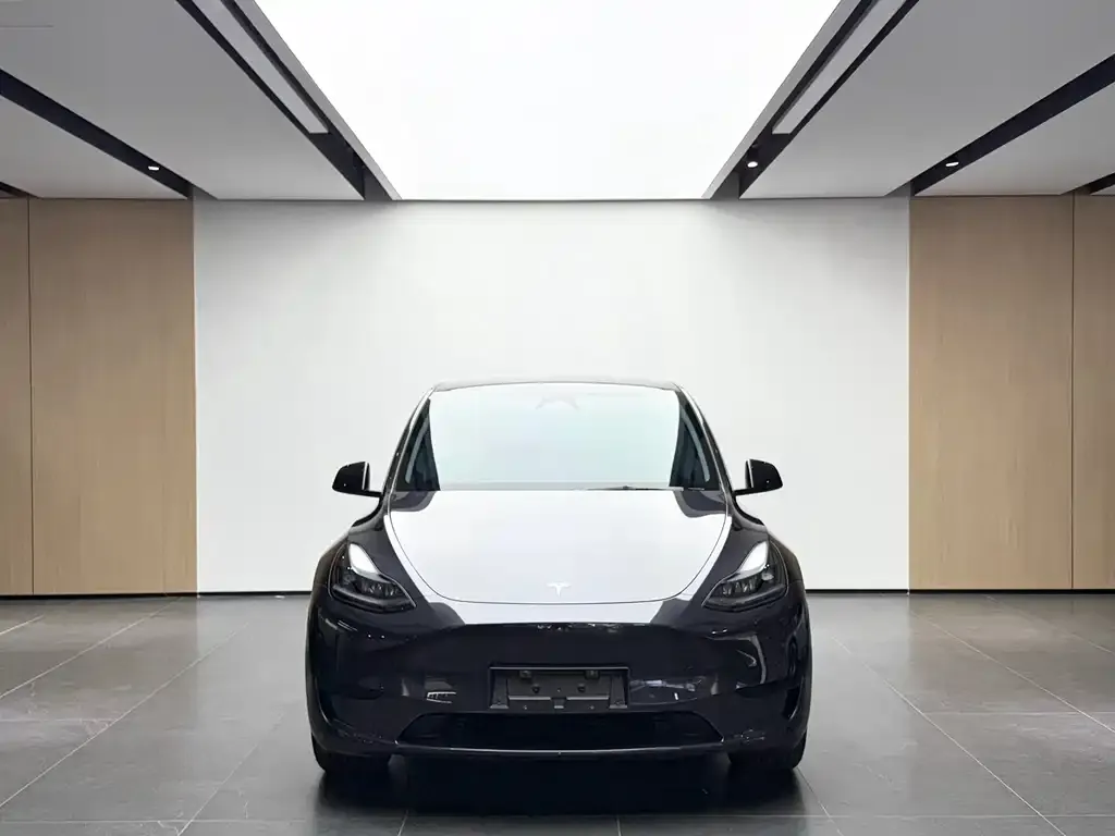 Tesla Model Y — фото 2
