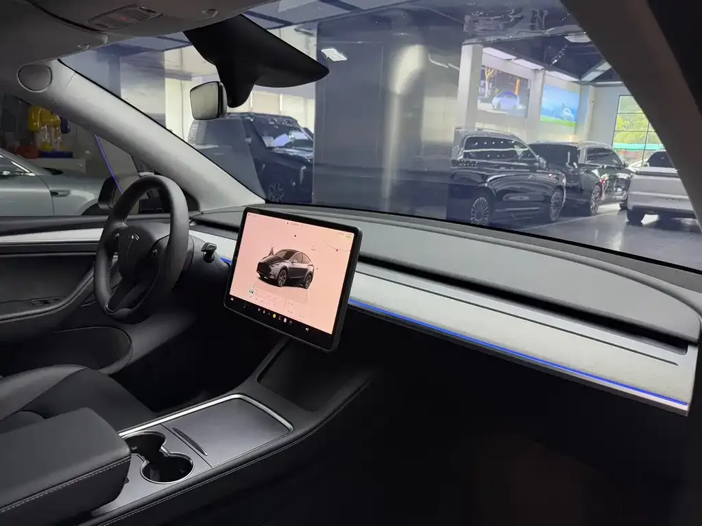Tesla Model Y — фото 10