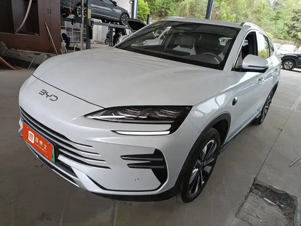 BYD PLUS New Energy — фото 1