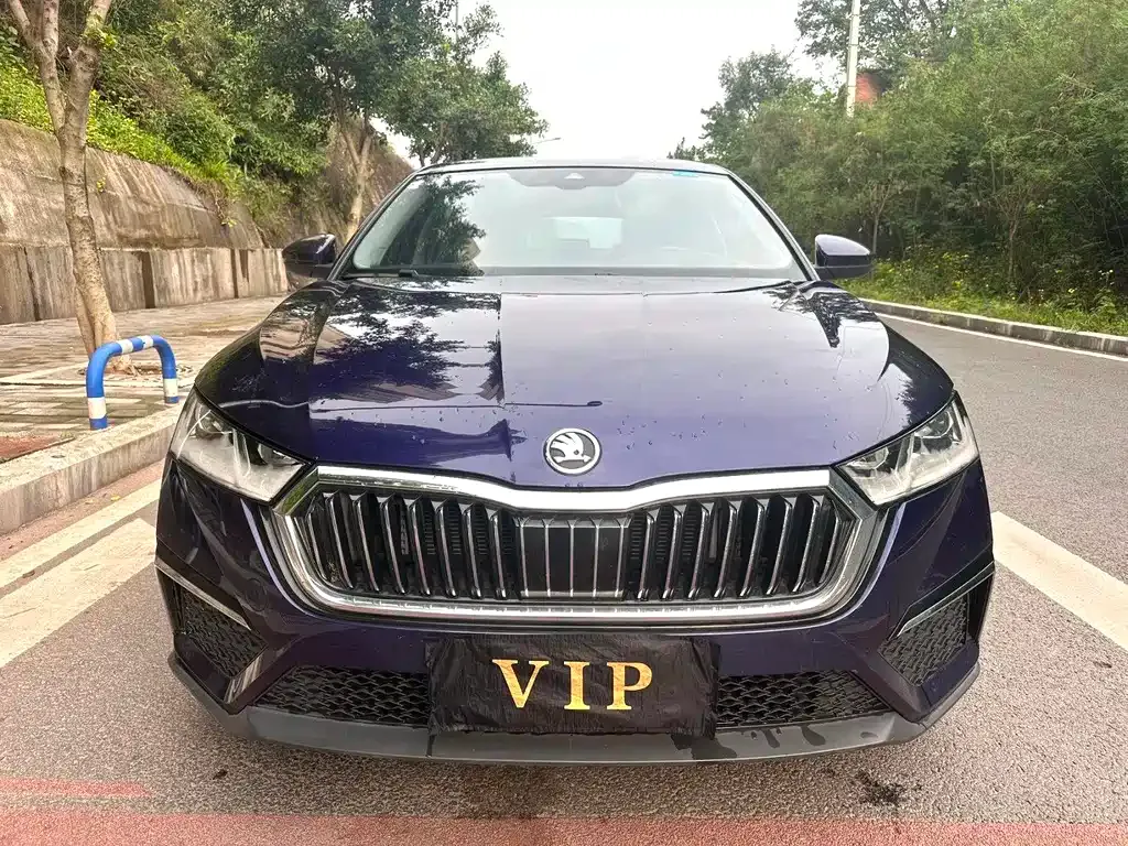 Skoda Octavia 2021 из CN, фото 9