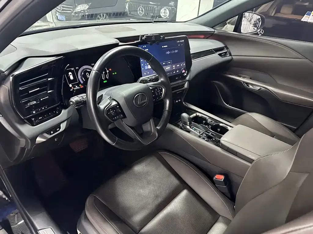 Lexus RX — фото 10