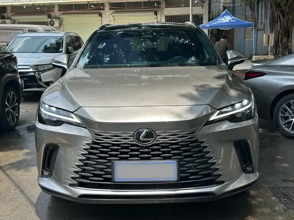 Lexus RX — фото 5