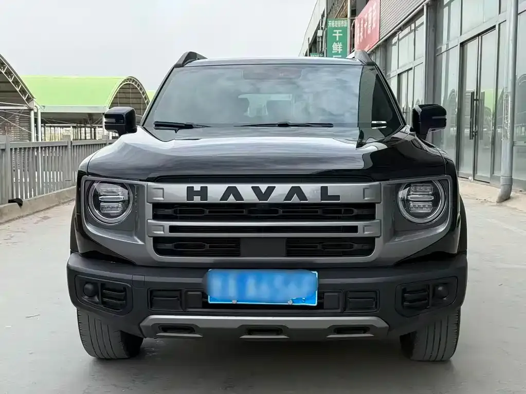 Haval Big Dog 2024 из CN, фото 4