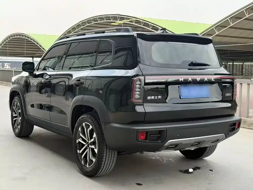 Haval Big Dog 2024 из CN, фото 5